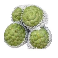 Fresh Custard Apple