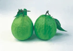 Guava Pulp