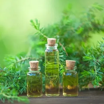 Tea Tree Oil