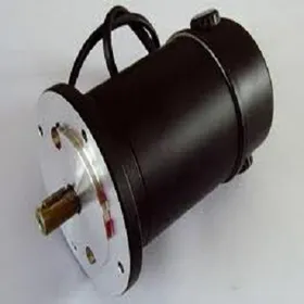 Pump DC Motors