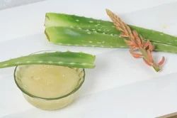 Aloevera Organic Pulp, Pack Size: 50 Kg., for Personal