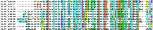 In Silico Protein Sequence Analysis