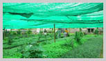 Horticulture & Flowering Net