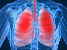 Pulmonology & Respiratory medicine