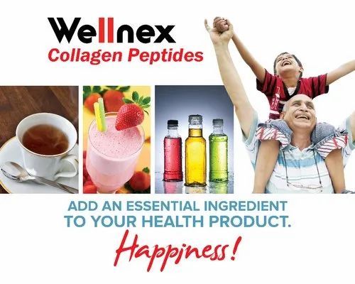 Wellnex Collagen Peptides, Packaging Type: Paper Bags