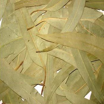 Eucalyptus Leaves Seasoning