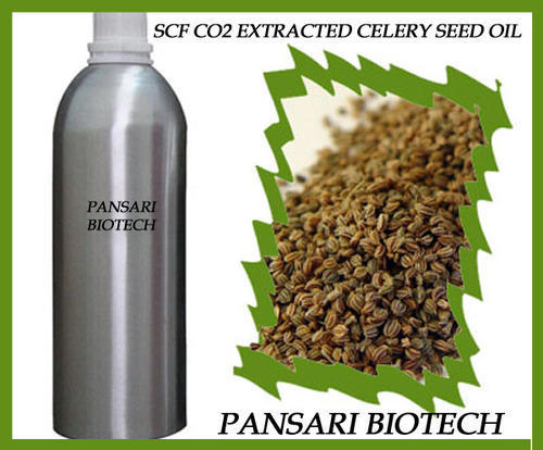 Celery Seed CO2 Oil (SCFE)