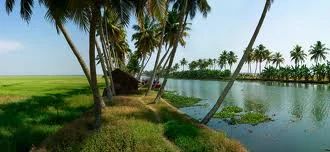 Exotic Kerala Tour