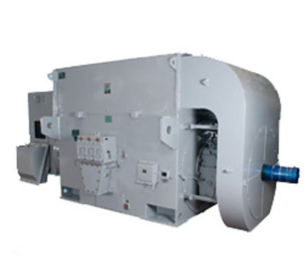 Megapack Closed Type Wound High Voltage AC Motors