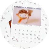 Calendars