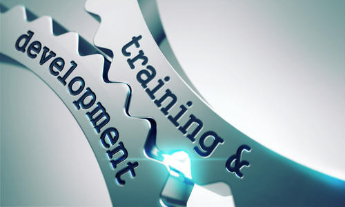 Consultancy & Training