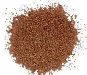 Spices Ajowon(Omum)