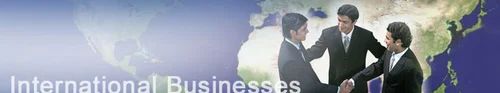 International Business Consultancy