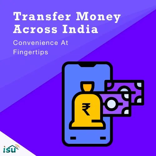 Lifetime Financial Domestic Money Transfer Service & Portal In Your Logo