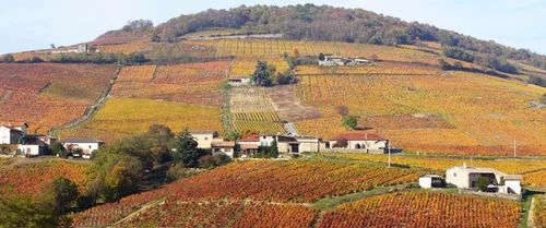 Wine Regions Package Tours