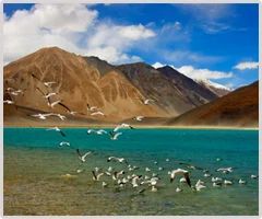 Leh Ladakh Tour Package