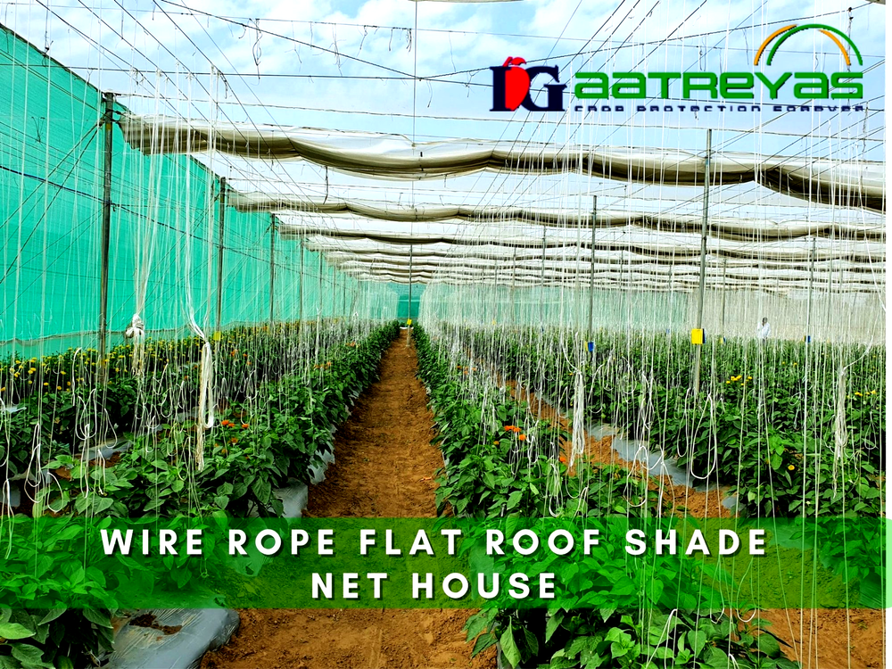 Prefab Shade Net House For Vegetables Farming