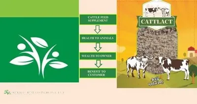 POWDER Cattlact Dairy Calf Grower Feed, Packaging Type: PP Bag