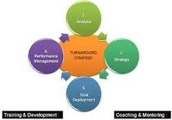 Turnaround Strategies