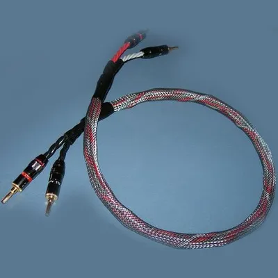 Speaker Lead Wire