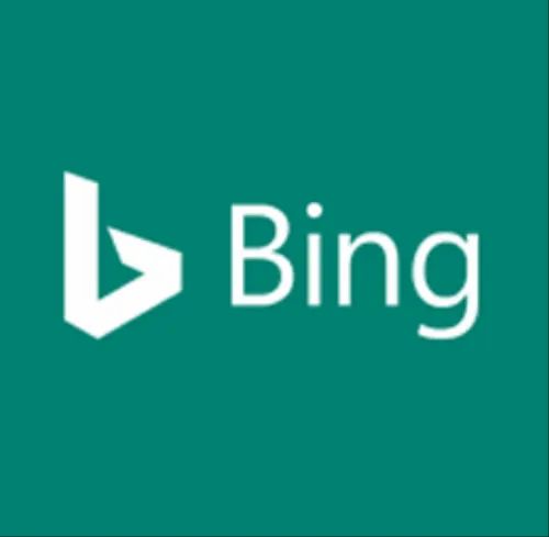 Bing PPC Service