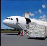 Air Freight