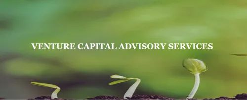 Venture Capital Advisory Services