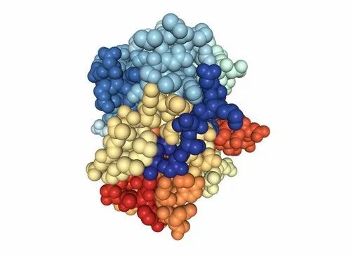 Enzymes