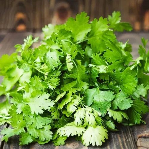 Green Natural Coriander Leaves, Packaging Size: 10 Kg
