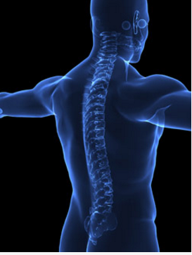 Spine Surgery Services