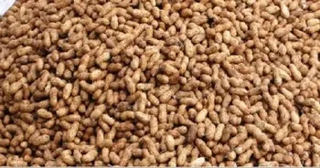 Organic Groundnut