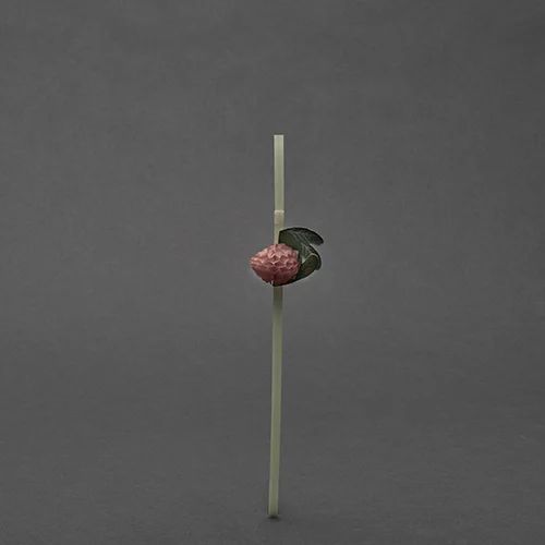 Plastic Strawberry Bend Straw
