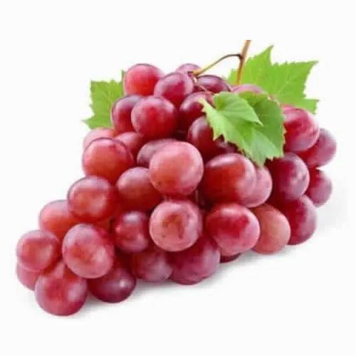 A Grade Grapes Red Globe, Packaging Type: Carton, Packaging Size: 5 Kg