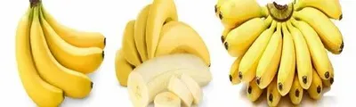 Bananas