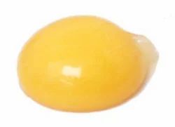 Egg Yolk Liquid