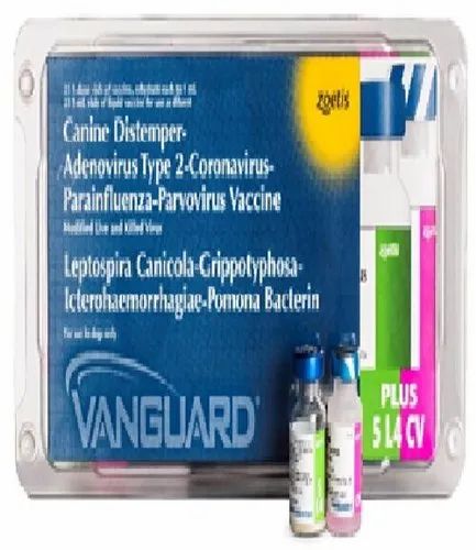 Vanguard Plus 5 L4 Cv Vaccine