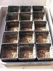 Seed Pots