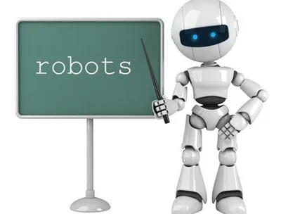 Robots.txt Services