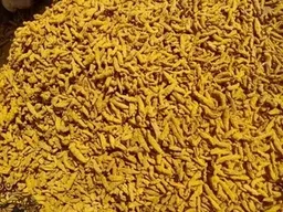 Salem Yellow Turmeric Finger, Packaging Size: 50kg Bag, Haldi