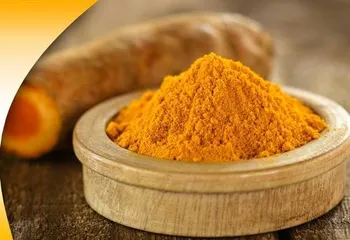 Apollo Ingredients Turmeric Extract, Pack Size: 25 Kgs, Packaging Type: Drum