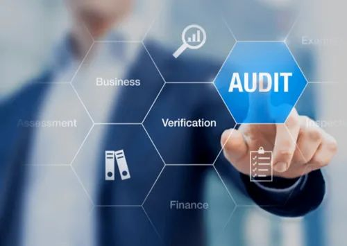 Consulting Firm One-Time Business Audit Services
