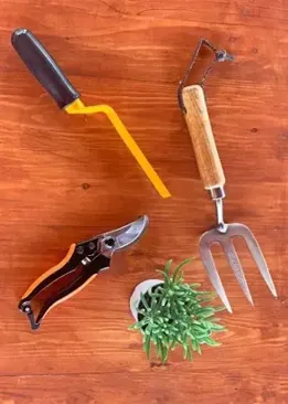 Garden Tools Combo (Pruning Secateurs, Garden Fork, Khurpa)