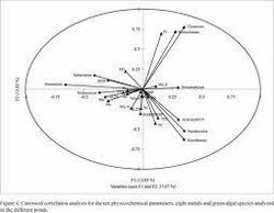 Parameters Analyzed