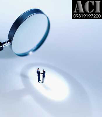 Corporate Investigation Service