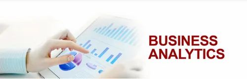 Business Analytics Services