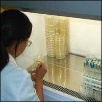 Microbiological Testing Services