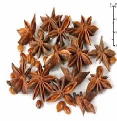 Anise Star