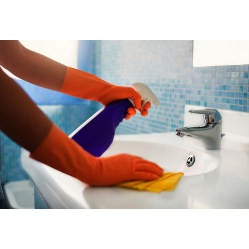 Prepossession Cleaning  Service