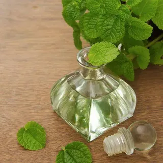 Peppermint Essential Oil