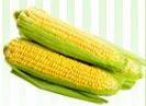 Sweet Corn From Fieldfresh